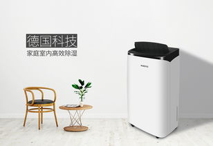 除濕機選購指南 詳解不同模式，找到最適合你的那一款